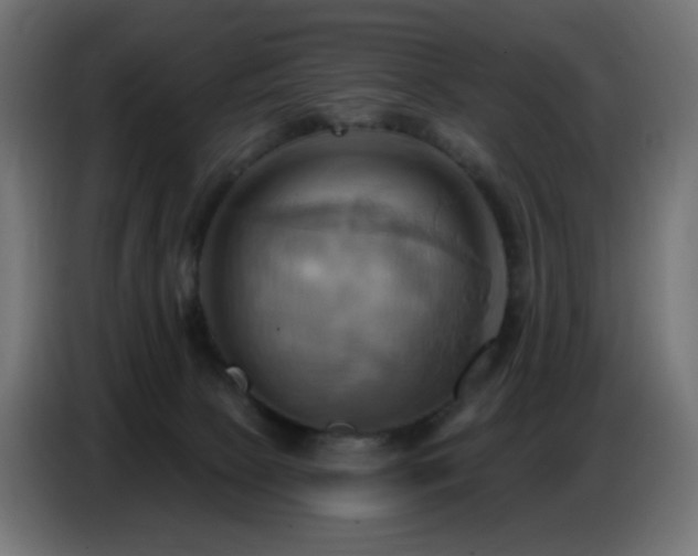 X0000086750081200704131200