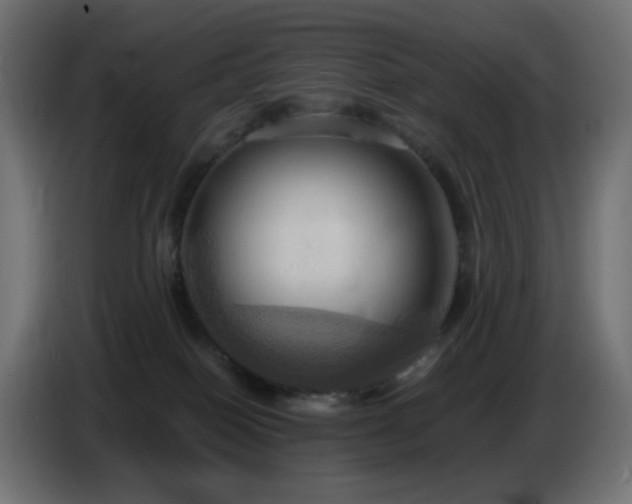 X0000086750086200704131200