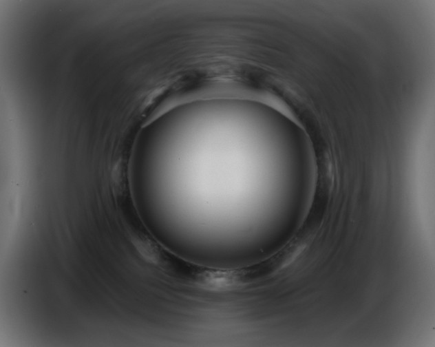 X0000086750088200704131200