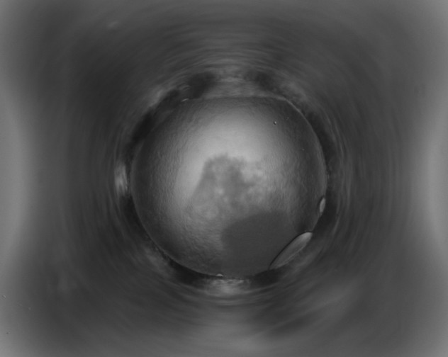 X0000086750089200704131200