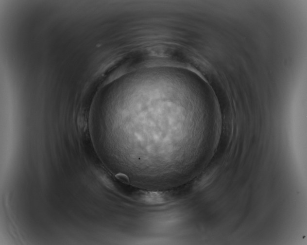 X0000086750091200704131200