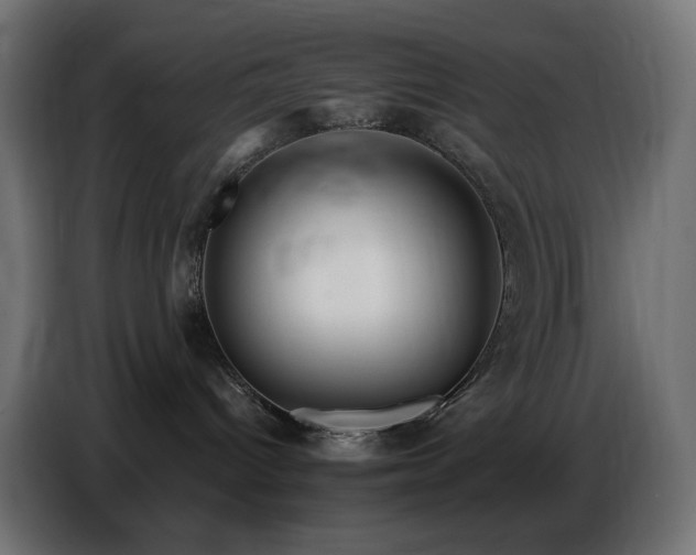 X0000086750096200704131200