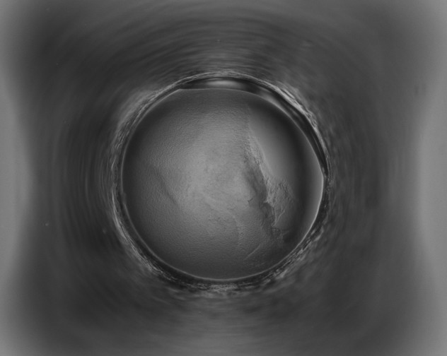 X0000086750097200704131200