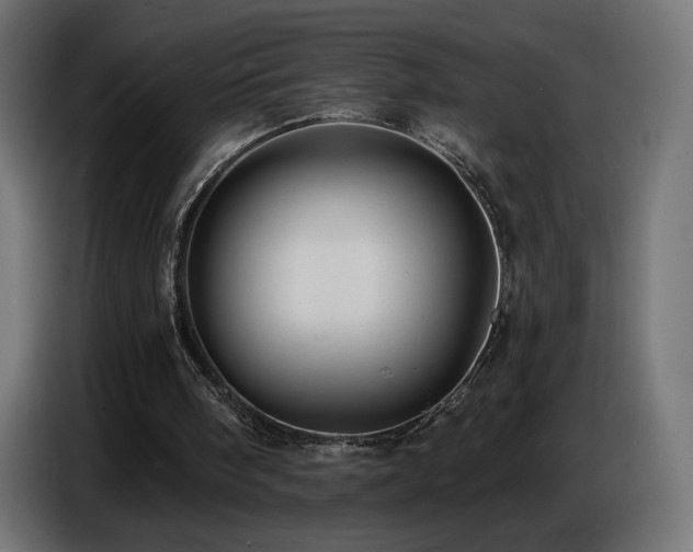 X0000086750098200704131200