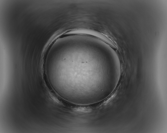 X0000086750101200704131200