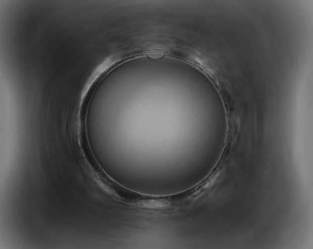 X0000086750102200704131200