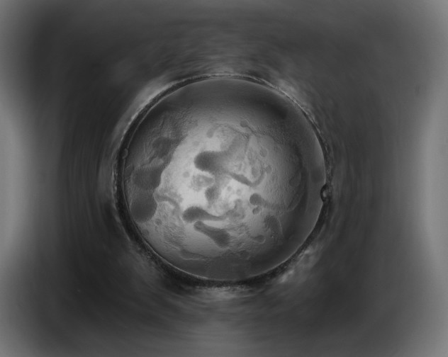 X0000086750103200704131200