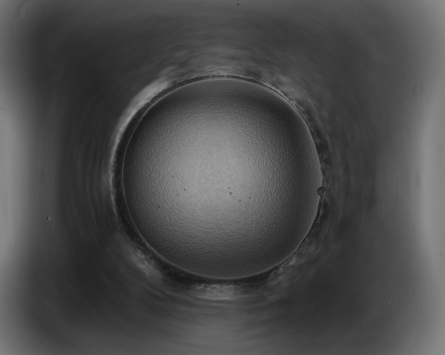 X0000086750104200704131200