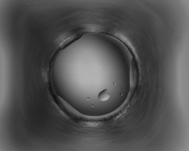 X0000086750105200704131200