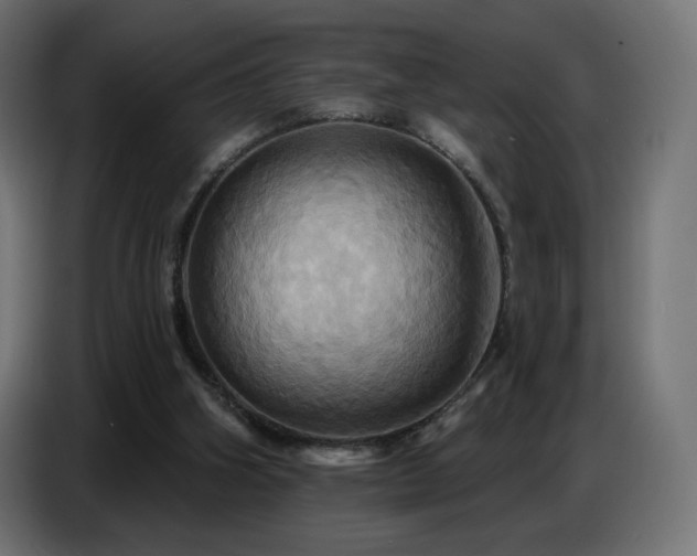 X0000086750106200704131200