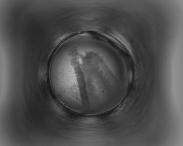 X0000086750107200704131200
