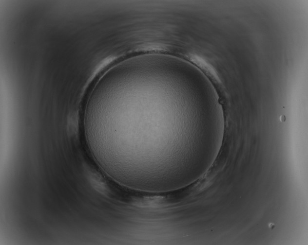 X0000086750108200704131200
