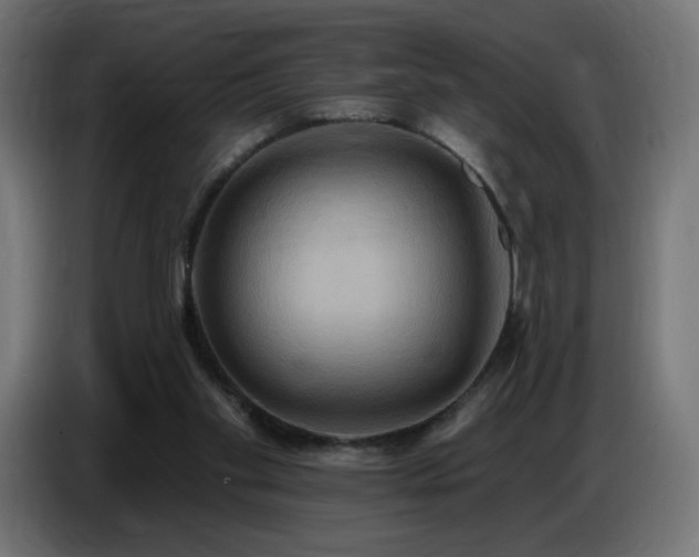 X0000086750109200704131159