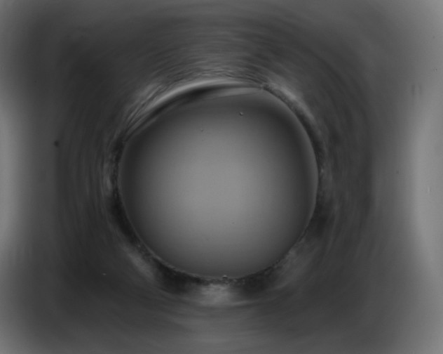 X0000086750114200704131159