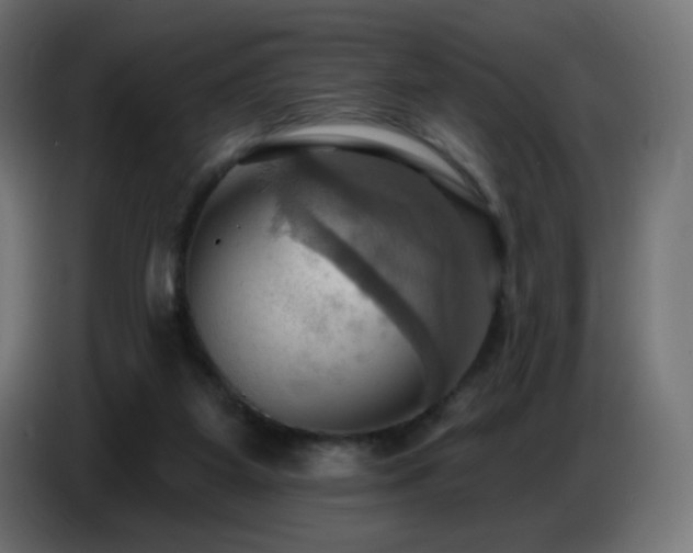 X0000086750115200704131159