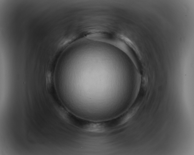 X0000086750117200704131159