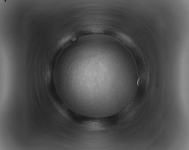 X0000086750120200704131159