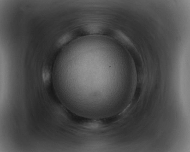 X0000086750124200704131159
