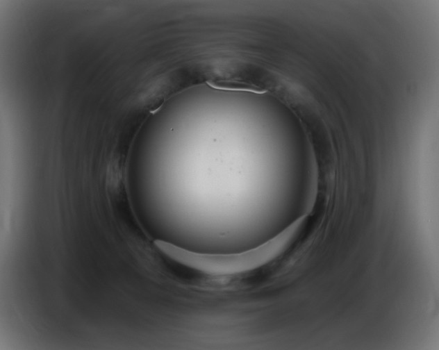 X0000086750129200704131159