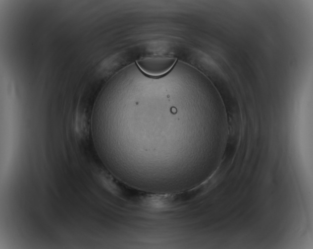 X0000086750136200704131159