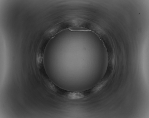 X0000086750137200704131159