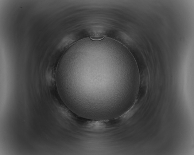 X0000086750140200704131159