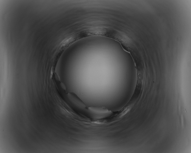 X0000086750143200704131159