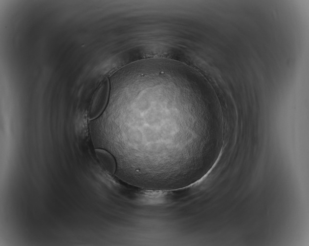 X0000086750144200704131159