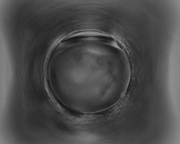 X0000086750145200704131158