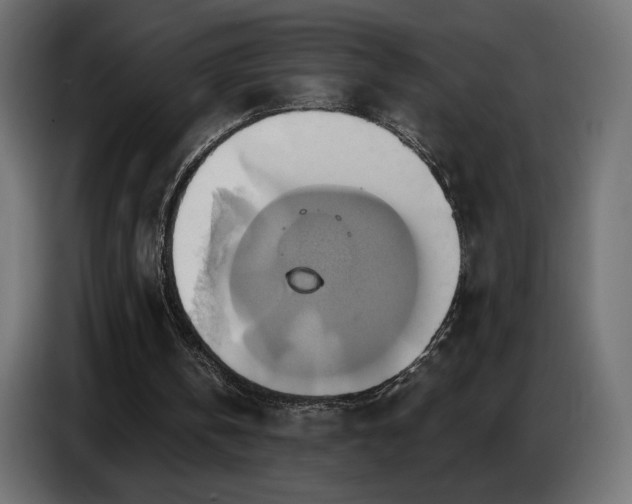 X0000086750146200704131158