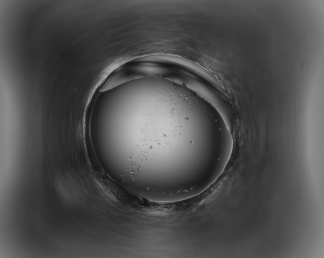 X0000086750148200704131158