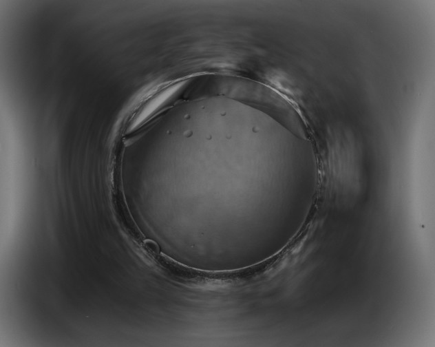 X0000086750149200704131158