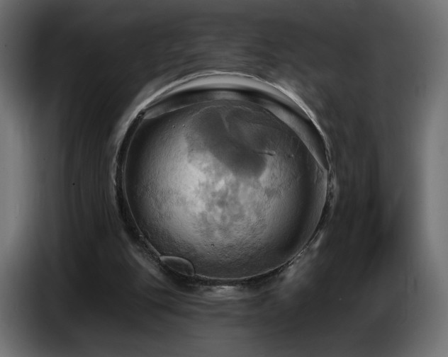 X0000086750151200704131158