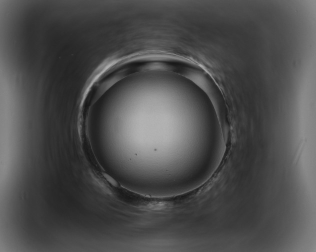 X0000086750152200704131158