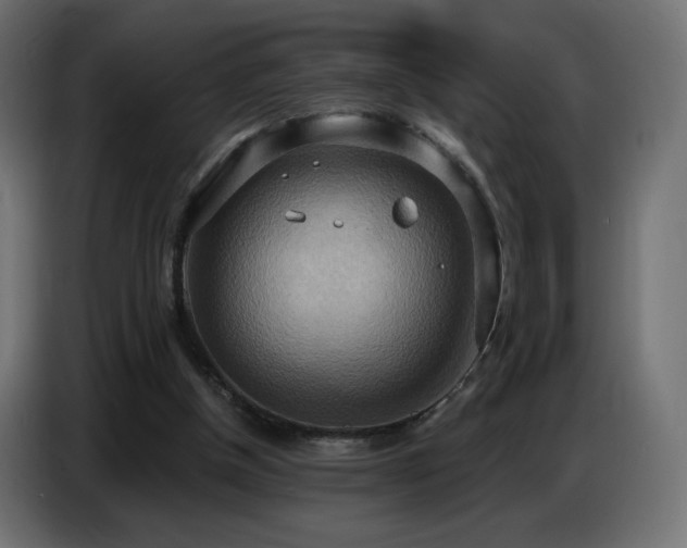 X0000086750154200704131158