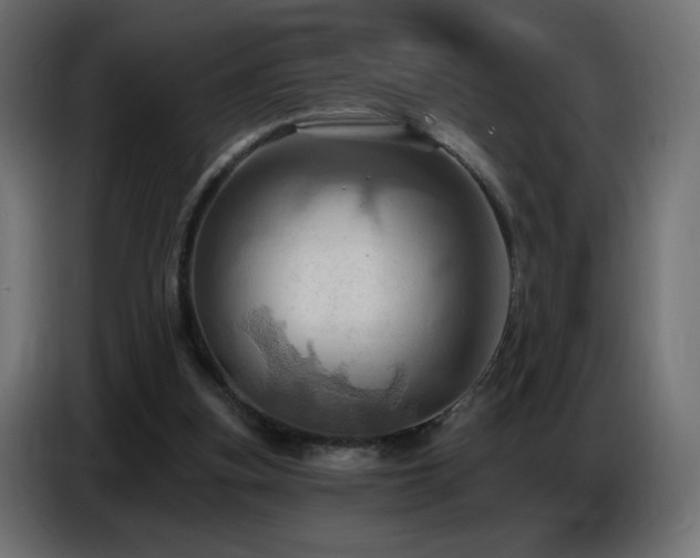 X0000086750155200704131158