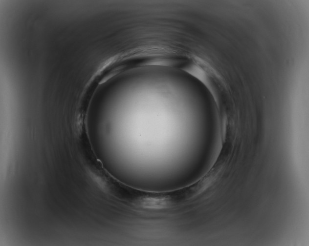 X0000086750160200704131159