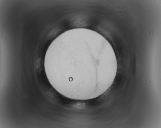X0000086750162200704131159
