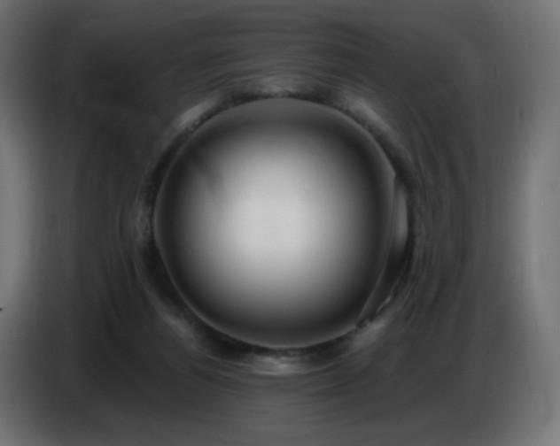 X0000086750164200704131159