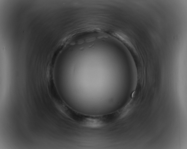 X0000086750167200704131159