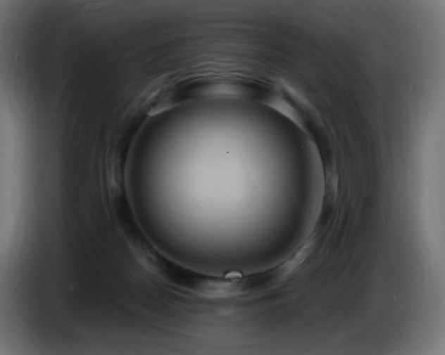 X0000086750170200704131159