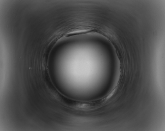 X0000086750174200704131159
