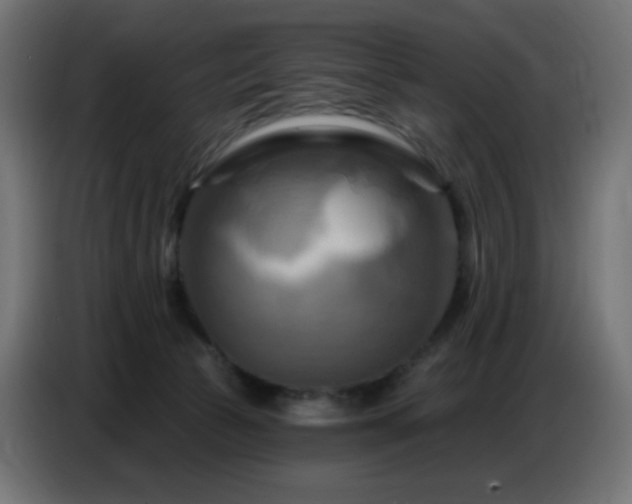 X0000086750177200704131159
