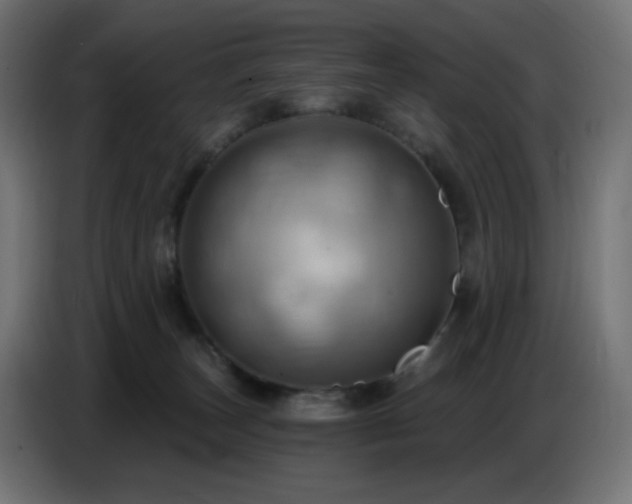 X0000086750179200704131159