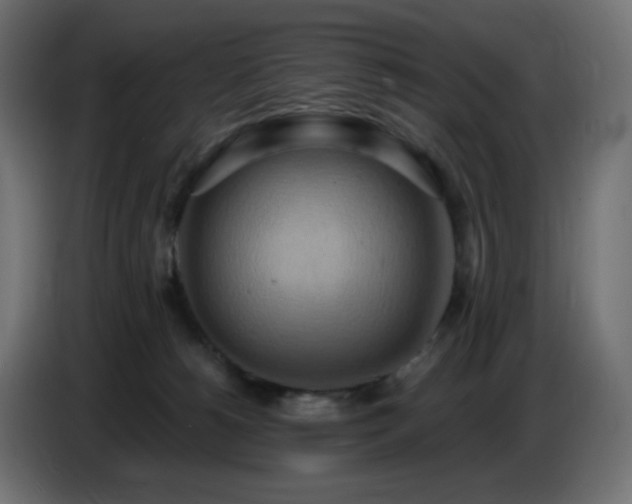 X0000086750180200704131159