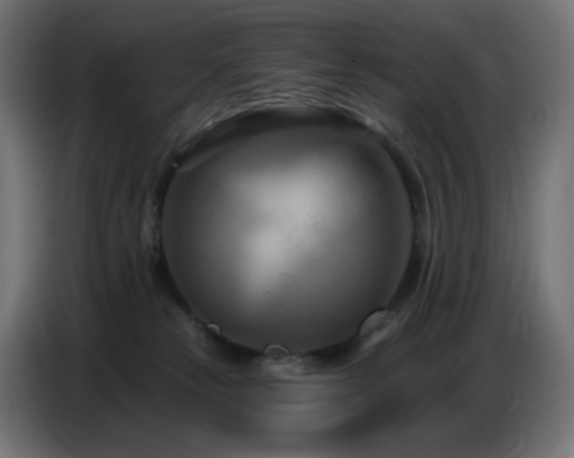 X0000086750181200704131159