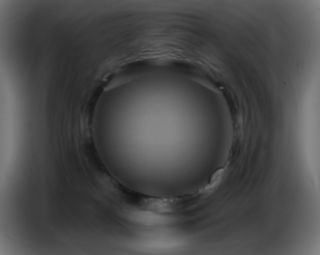 X0000086750182200704131159