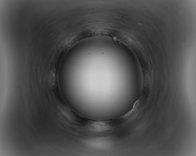 X0000086750183200704131159