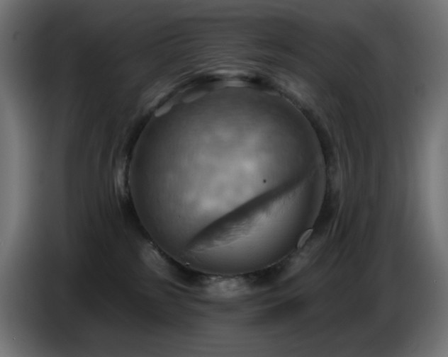 X0000086750185200704131159