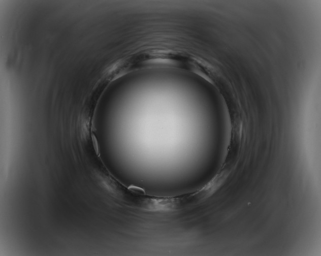 X0000086750188200704131159